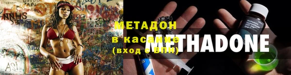 прущие грибы Беломорск