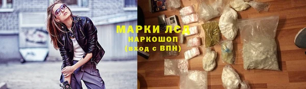 сатива Белокуриха
