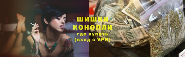 сатива Белокуриха