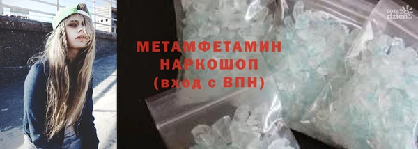 прущие грибы Беломорск