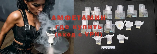 прущие грибы Беломорск