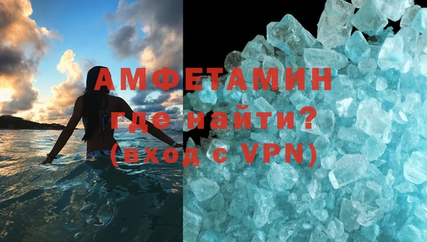 прущие грибы Беломорск