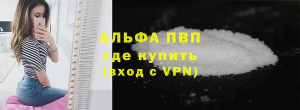 прущие грибы Беломорск