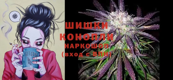 прущие грибы Беломорск