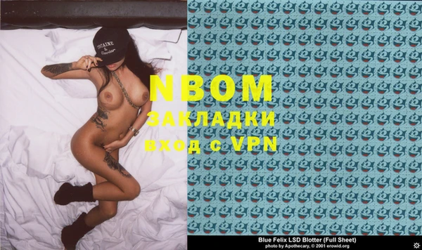 сатива Белокуриха