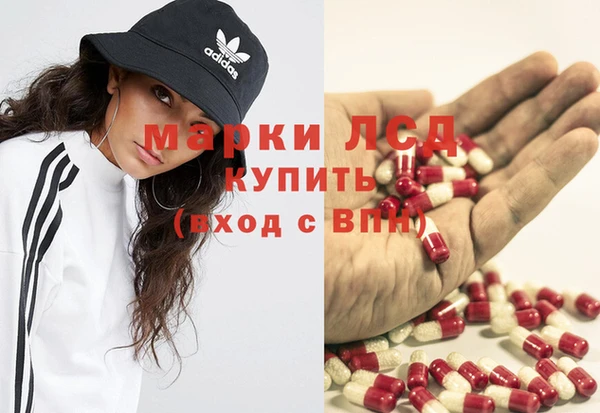 сатива Белокуриха