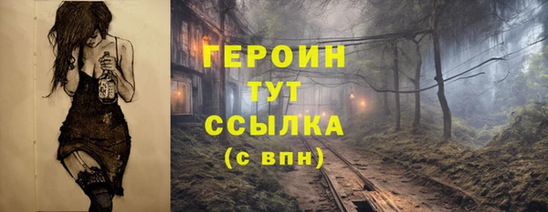 прущие грибы Беломорск