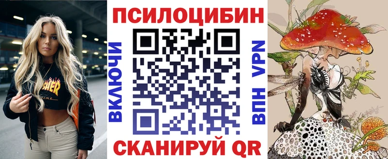 площадка Telegram  Куровское  Псилоцибиновые грибы Magic Shrooms 